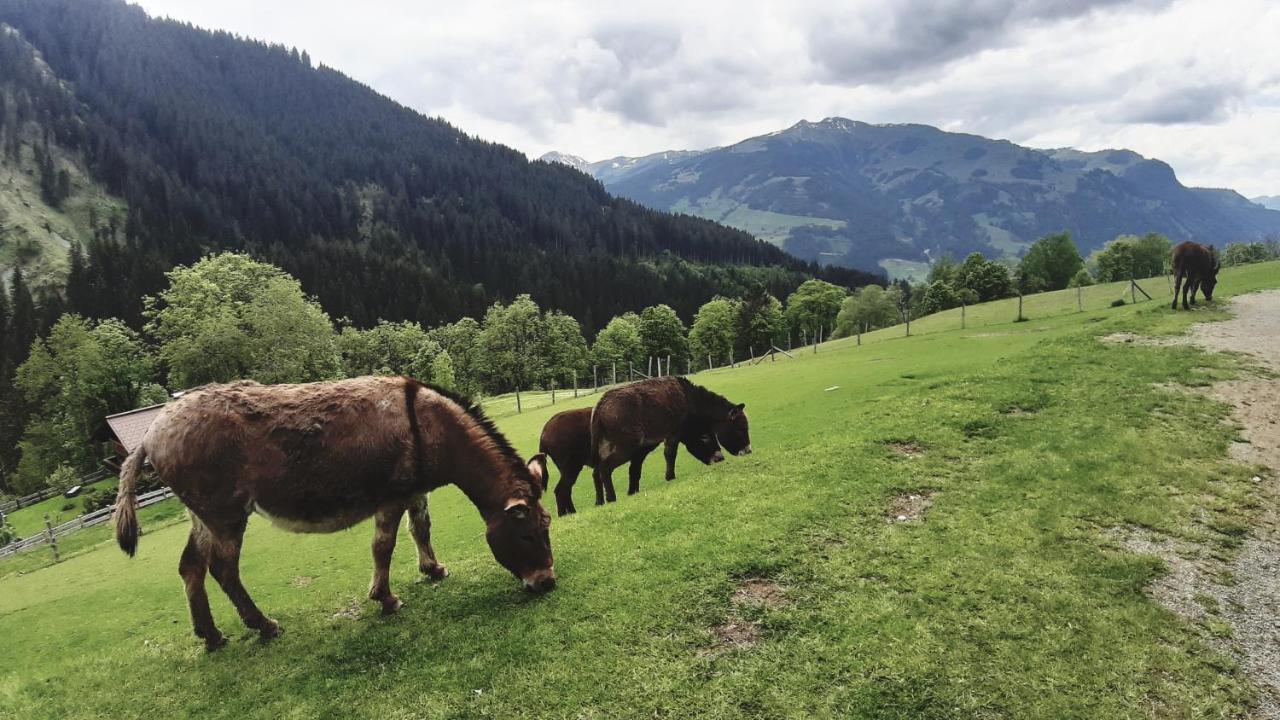 Privatzimmervermietung Foidlbauer Bed and Breakfast Oberndorf in Tirol Buitenkant foto