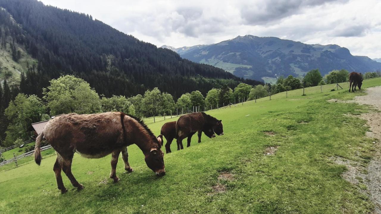 Privatzimmervermietung Foidlbauer Oberndorf in Tirol Buitenkant foto